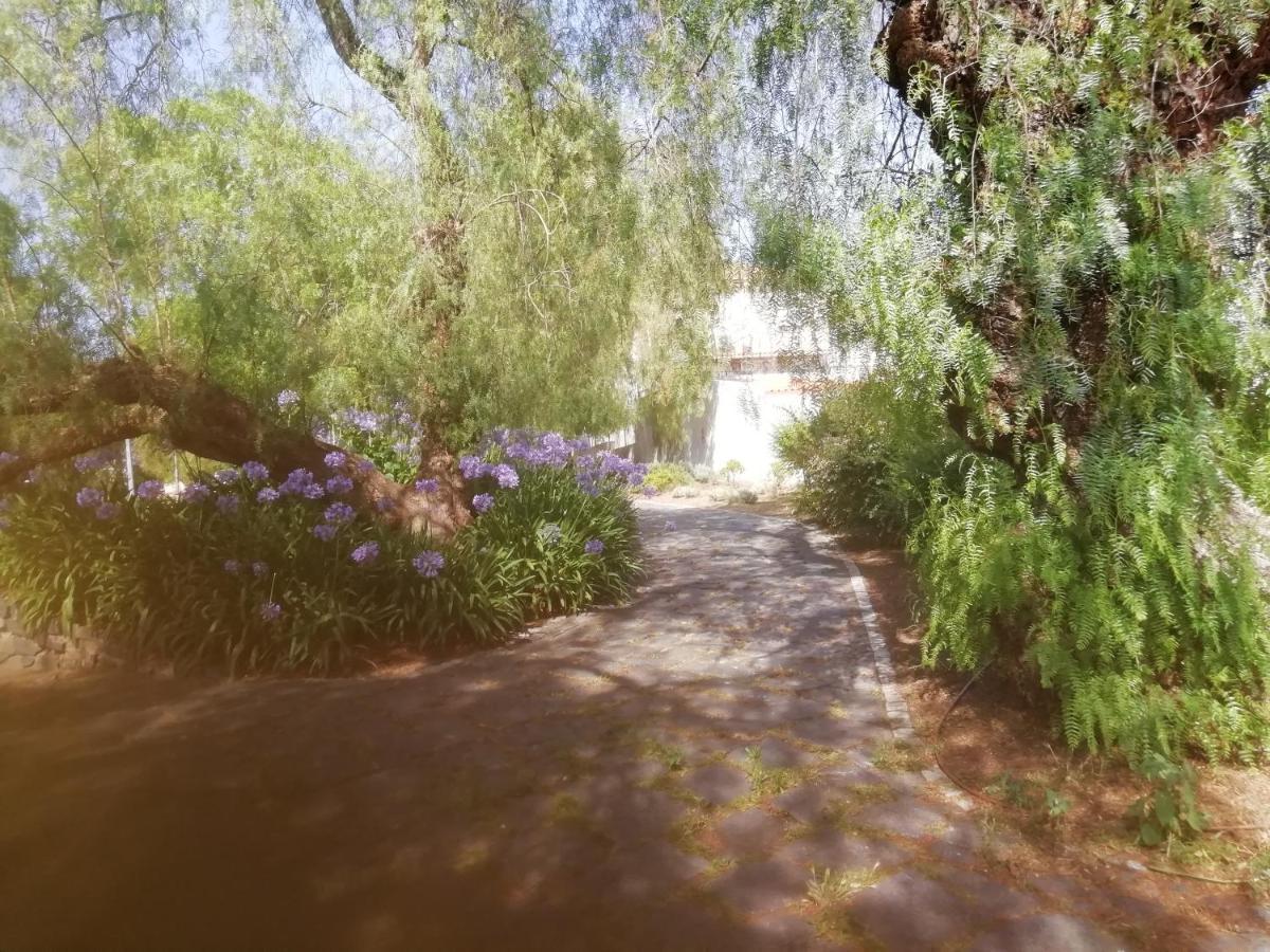 Casa Do Jardim Apartment Беха Екстериор снимка